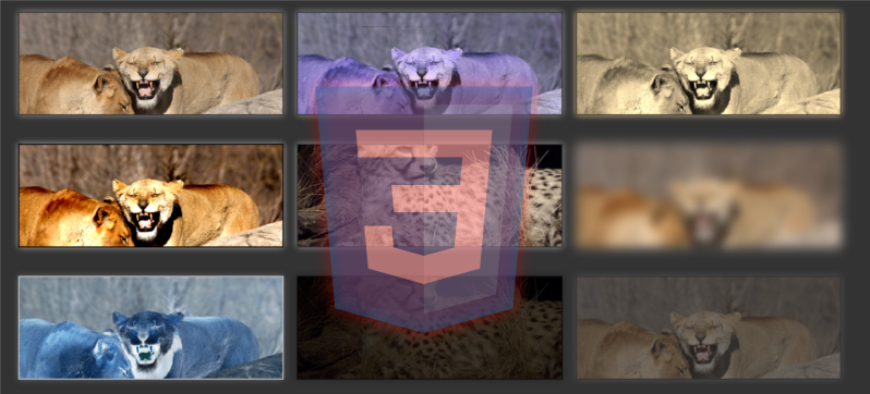 Hover and transition effects in CSS - Filters-